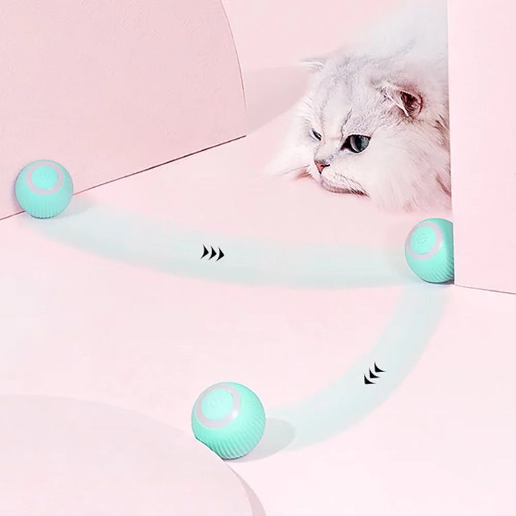 Balerz Pet Smart Interactive Smart Electric Automatic Rolling Ball Cat Toys