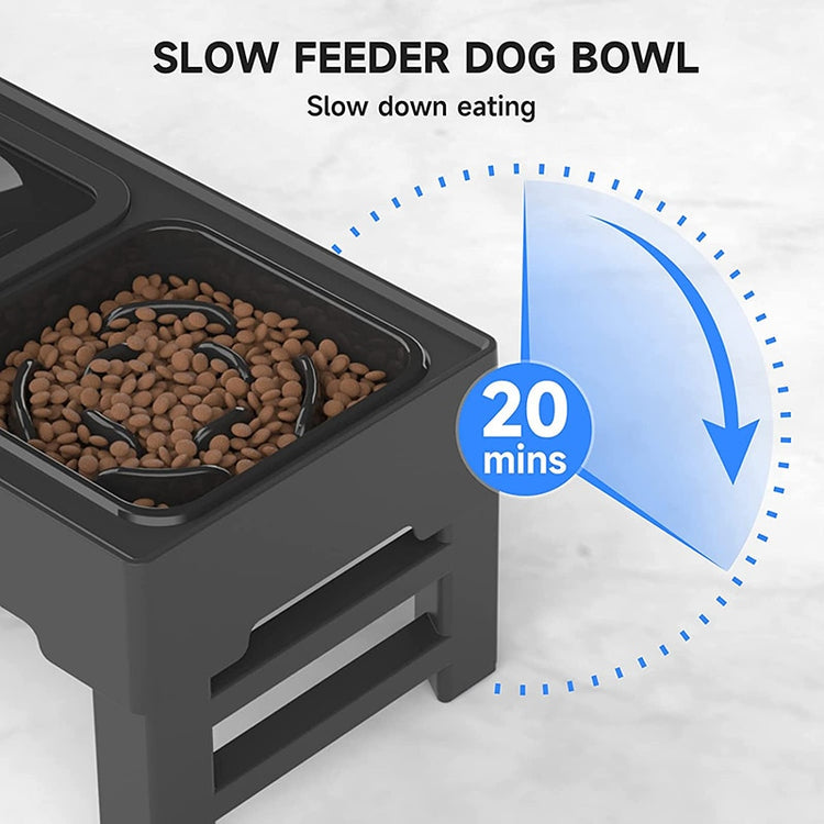 Balerz Dog Cat Bowl Feeder Non Spill Water Feeding Bowl Raised Puppy Feeder Bowl with Stand