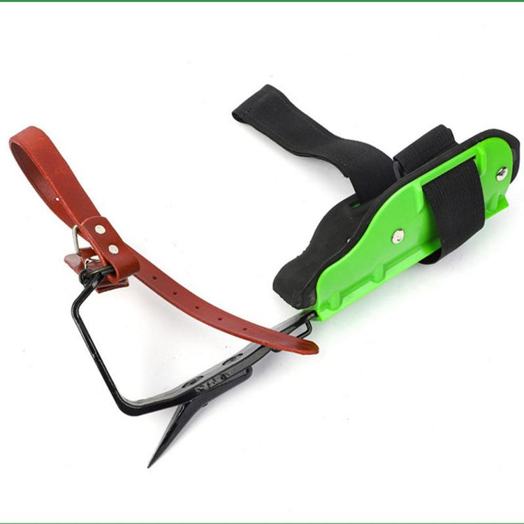 Balerz Tree Climbing Spikes Crampons with Leather Straps and Gloves For Trees