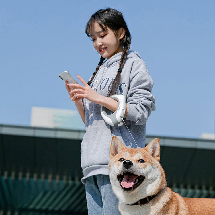 Balerz Pet Dog Collar LED Retractable Dog Leash with 3M Tape