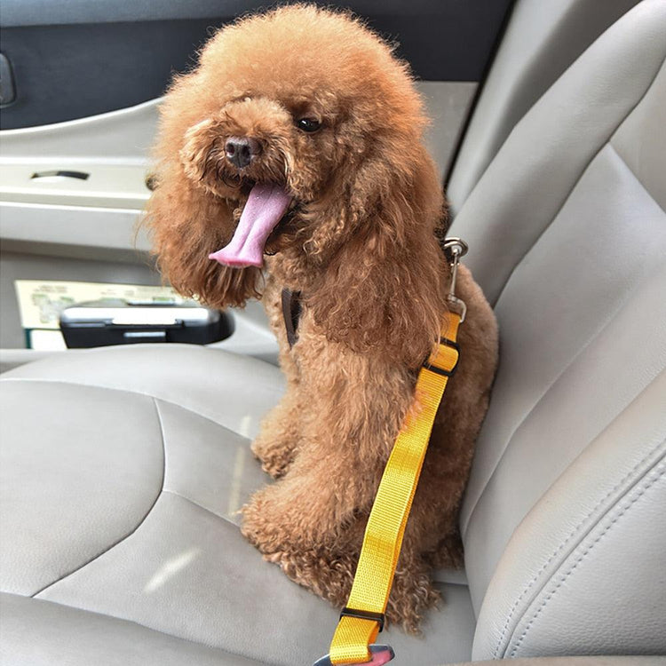 Balerz Dog Cat Car Safety Belt Pet Vehicle Seat Belt Leash For Dogs Travel Traction Collar Harness Dog Lead Clip