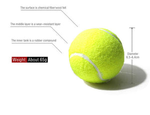Balerz Outdoor Play Highly Flexible Fiber Tennis Balls for Dogs