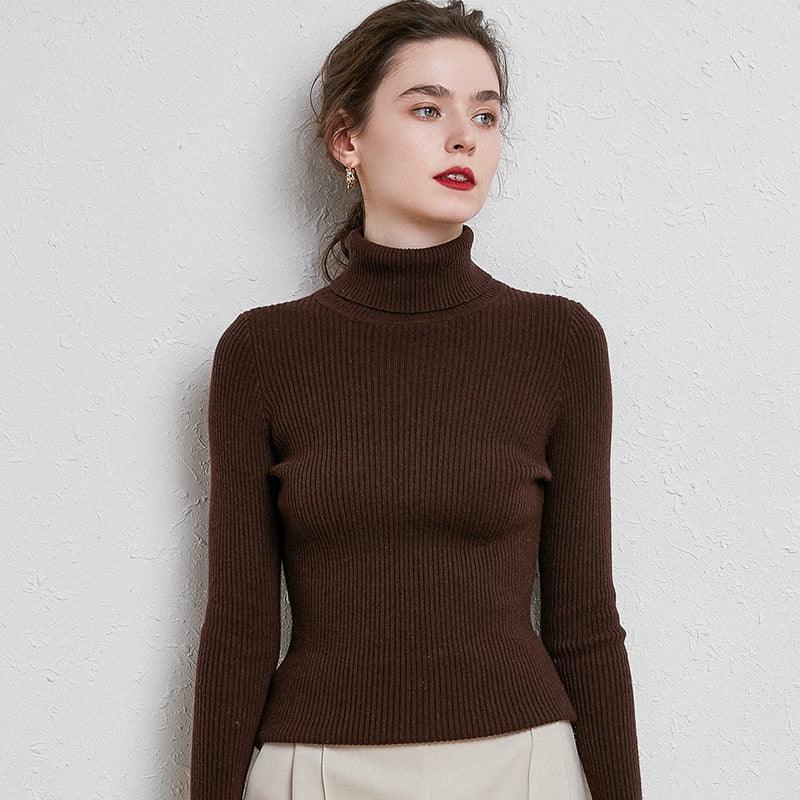 Balerz Slim Knitted Turtleneck Cashmere Sweater